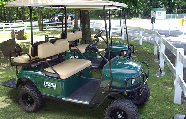 Golf Cart Rentals